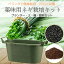 薬味 ネギ 栽培 キット ベランダ で 家庭菜園 初心者 向け 簡単 おいしい 何度もできる うどん そば 豆..