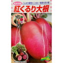 大根 種 紅くるり 松永種苗 おいしい 種類 家庭菜園 プロ向け 大袋 小袋 農家 セレクト