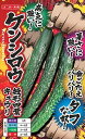 キュウリ 種 ケンシロウ ナント 種苗 おいしい 種類 家庭菜園 プロ向け 大袋 小袋 農家 セレクト