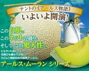 メロン 種 アールス・ムーラン ナント 種苗 おいしい 種類 家庭菜園 プロ向け 大袋 小袋 農家 セレクト