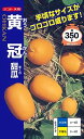 メロン 種 黄冠まくわ ナント 種苗 おいしい 種類 家庭菜園 プロ向け 大袋 小袋 農家 セレクト
