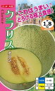 メロン 種 クラリス ナント 種苗 おいしい 種類 家庭菜園 プロ向け 大袋 小袋 農家 セレクト