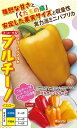 パプリカ 種 プルチーノ イエロー 100粒 ナント 種苗 おいしい 種類 家庭菜園 プロ向け 大袋 小袋 農家 セレクト
