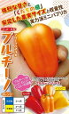 パプリカ 種 プルチーノ オレンジ 100粒 ナント 種苗 おいしい 種類 家庭菜園 プロ向け 大袋 小袋 農家 セレクト