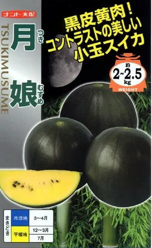 スイカ 種 月娘 ナント種苗 すいか 家庭菜園 プロ向け 甘い 限定販売 スイカ黄色 種無し 種子 送料無料..
