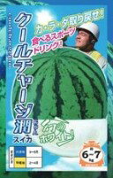 スイカ 種 クールチャージ潤 ナント種苗 すいか 家庭菜園 プロ向け 甘い 限定販売 スイカ白色 種無し ..