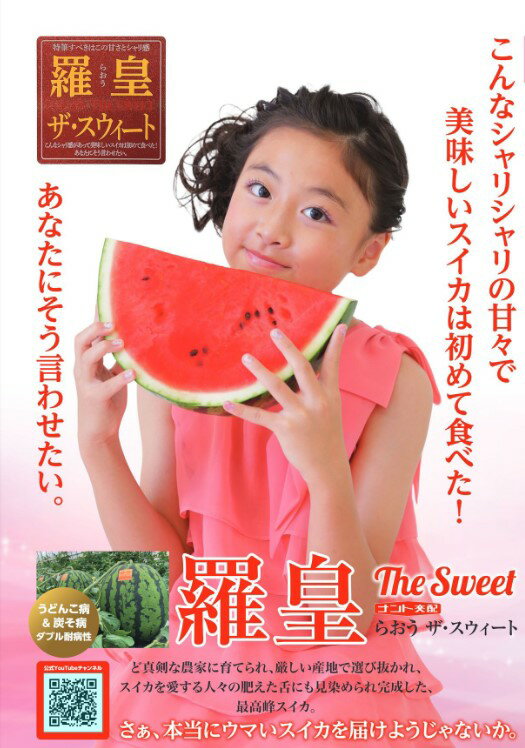 スイカ 種 羅皇ザ・スウィート ナント種苗 すいか 家庭菜園 プロ向け 甘い 限定販売 スイカ赤色 種無し 種子 送料無料 自然栽培 果物 甘露 スイカ種 畑 ...