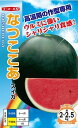 スイカ 種 なつここあ ナント 種苗 小玉 黒川 おいしい 種類 家庭菜園 プロ向け 大袋 小袋 農家 セレクト