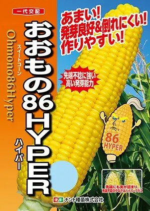 トマト種子 　サカタのタネ 　ハウスパルト　1000粒（プライマックス種子）