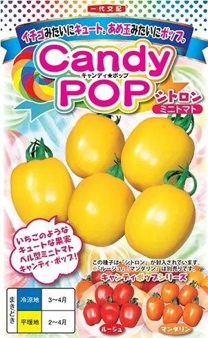 トマト 種 キャンディーポップ シトロン ナント 種苗 おいしい 種類 家庭菜園 プロ向け 大袋 小袋 農家 セレクト