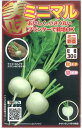 大根 種 ミニマル大根 トキタ 種 苗 おいしい 種類 家庭菜園 プロ向け 大袋 小袋 農家 セレクト