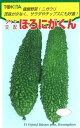 ゴーヤ 種 ほろにがくん トキタ 種 苗 おいしい 種類 家庭菜園 プロ向け 大袋 小袋 農家 セレクト