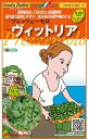イタリアンパセリ 種 ヴィットリア イタリア 野菜 種 トキタ 種 苗 グストイタリア おいしい 種類 家庭菜園 プロ向け 大袋 小袋 農家 セレクト