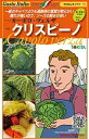 キャベツ 種 クリスピーノ イタリア 野菜 種 トキタ 種 苗 グストイタリア おいしい 種類 家庭菜園 プロ向け 大袋 小袋 農家 セレクト