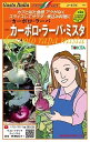 コールラビ 種 カーボロ・ラーパ・ミスタ イタリア 野菜 種 トキタ 種 苗 グストイタリア おいしい 種類 家庭菜園 プロ向け 大袋 小袋 農家 セレクト