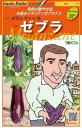 ナス 種 メランツァーネ・ゼブラ イタリア 野菜 種 トキタ 種 苗 グストイタリア おいしい 種類 家庭菜園 プロ向け 大袋 小袋 農家 セレクト