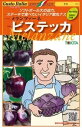 ナス 種 メランツァーネ・ビステッカ・スペリオーレ イタリア 野菜 種 トキタ 種 苗 グストイタリア おいしい 種類 家庭菜園 プロ向け 大袋 小袋 農家 セ...