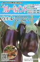 ナス 種 カレーなインド トキタ 種 苗 おいしい 種類 家庭菜園 プロ向け 大袋 小袋 農家 セレクト