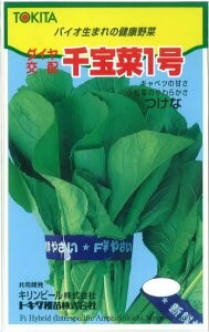 ツケナ 種 千宝菜1号 トキタ 種 苗 種子 畑 品種 たね 送料無料 キャベツ種 キャベツの種 自然栽培野菜 鉄分 鉄分補給 マグネシウム ビタミンC カルシウム 菜園 畑仕事 種苗 タネ ロールキャベツ キャベツの千切り お酒のおつまみ