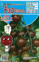 トマト 種 チョコちゃん トキタ 種 苗 おいしい 種類 家庭菜園 プロ向け 大袋 小袋 農家 セレクト