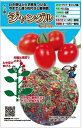 トマト 種 ジャングルトマト トキタ 種 苗 おいしい 種類 家庭菜園 プロ向け 大袋 小袋 農家 セレクト