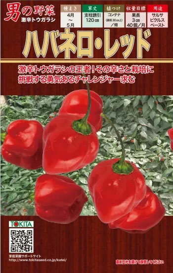 ハバネロ 種 レッド トキタ 種 苗 おいしい 種類 家庭菜園 プロ向け 大袋 小袋 農家 セレクトのサムネイル