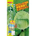 キャベツ 種 サトウくん ナント 種苗 家庭菜園 プロ向け 大袋 小袋 農家 セレクト たね タネ きゃべつ 甘藍