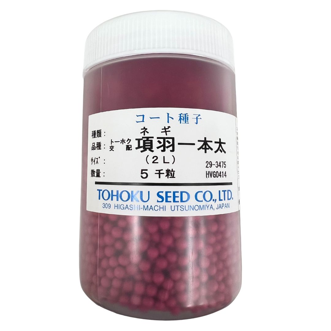 ネギ 種 項羽一本太 トーホク プロ向け 大袋 畑 葱 種 ねぎ 一本ネギ タネ 長ネギ 野菜 家庭菜園 農家 セレクト たね 野菜種子 プランター 野菜種 種まき 自然栽培野菜 畑仕事 苗 栽培 一 本 品種 秀逸