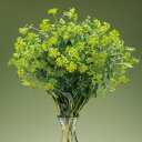 花 種 ブプレウルム ブプレウルム タキイ種苗 プロ向け 家庭菜園 営利用 花のある暮らし 大量 生産 フラワー