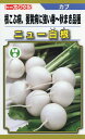 カブ 種 ニュー白根 トーホク おいしい 種類 家庭菜園 プロ向け 大袋 小袋 農家 セレクト