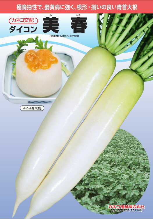 Rakuten - 大根 種 美春 カネコ 種 苗 おいしい 種類 家庭菜園 プロ向け 大袋 小袋 農家 セレクト