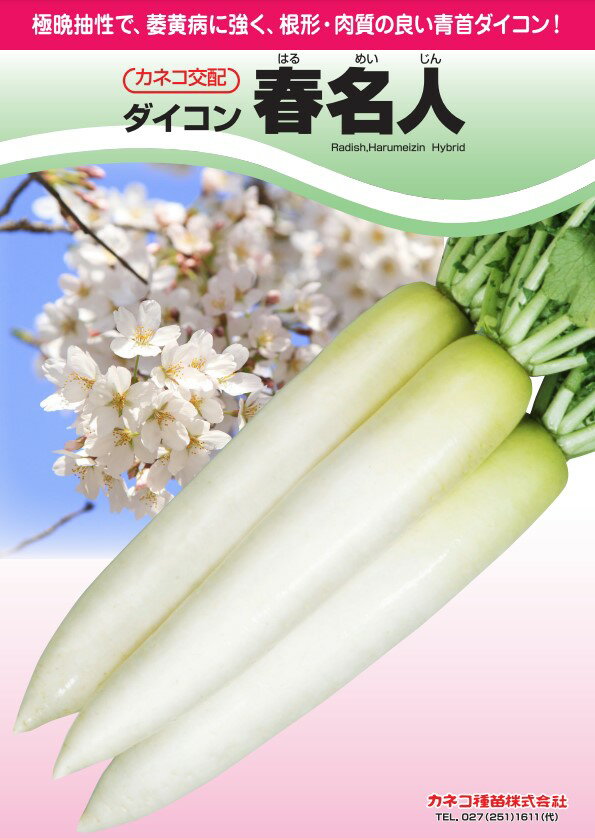 Rakuten - 大根 種 春名人 カネコ 種 苗 おいしい 種類 家庭菜園 プロ向け 大袋 小袋 農家 セレクト