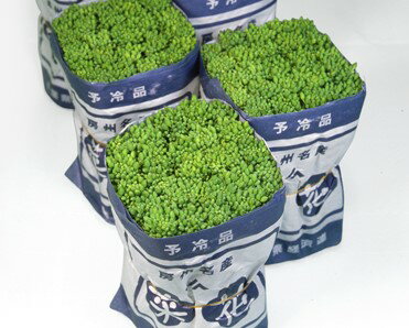Rakuten - 菜花 種 CR春華 カネコ 種 苗 おいしい 種類 家庭菜園 プロ向け 大袋 小袋 農家 セレクト