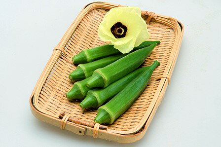 Rakuten - オクラ 種 ジョニー カネコ 種 苗 おいしい 種類 家庭菜園 プロ向け 大袋 小袋 農家 セレクト 家庭菜園 野菜の種 菜園 畑 プランター栽培 ベランダ菜園 プランター菜園 家庭菜園初心者 園芸初心者 簡単栽培 野菜作り 自家栽培 露地栽培 ハウス栽培 地植え 鉢植え
