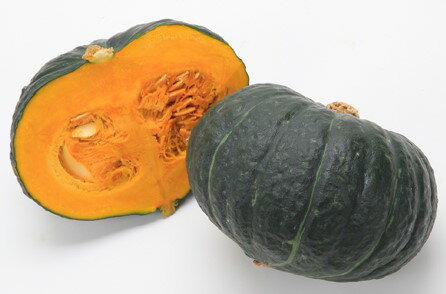 Rakuten - カボチャ 種 くじゅうくりEX カネコ 種苗 野菜 プロ向け 家庭菜園 農家 セレクト たね 畑 かぼちゃの種 畑仕事 自然栽培野菜 送料無料 種子 野菜種子 種まき 温室 ギフト キット プレゼント 苗 かぼちゃ