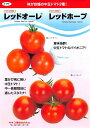 トマト 種 レッドオーレ カネコ 種 苗 おいしい 種類 家庭菜園 プロ向け 大袋 小袋 農家 セレクト