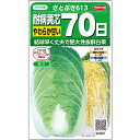 白菜 種 ハクサイ さとぶき613 サカタ の タネ 家庭菜園 プロ向け 大袋 小袋 農家 セレクト
