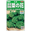 菜の花 種 ハナナ 花娘 サカタ の タネ 家庭菜園 プロ向け 大袋 小袋 農家 セレクト