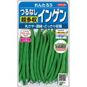 インゲン 種 つるなし れんたろう サカタ の タネ 家庭菜園 プロ向け 大袋 小袋 農家 セレクト