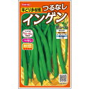 インゲン 種 つるなし セリーナ サカタ の タネ 家庭菜園 プロ向け 大袋 小袋 農家 セレクト