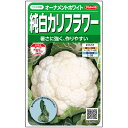 カリフラワー 種 オーナメントホワイト サカタ の タネ 家庭菜園 プロ向け 大袋 小袋 農家 セレクト