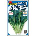 小松菜 種 コマツナ はまつづき サカタ の タネ 家庭菜園 プロ向け 大袋 小袋 農家 セレクト