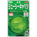 キャベツ 種 金春 サカタ の タネ 家庭菜園 プロ向け 大袋 小袋 農家 セレクト きゃべつ 甘藍