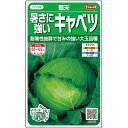 キャベツ 種 藍天 サカタ の タネ 家庭菜園 プロ向け 大袋 小袋 農家 セレクト きゃべつ 甘藍