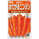 ニンジン 種 紅あかり サカタ の タネ 種 野菜 プロ向け 農家 セレクト にんじん 人参 ペレット 種 苗 野菜 タネ プロ向け 家庭菜園 たね 畑 種まき おいしい 畑仕事 送料無料 自然栽培野菜 種子 サラダ 野菜種子 キット 野菜種