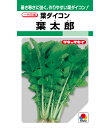 大根 種 葉太郎 タキイ 種苗 家庭菜園 プロ向け 大袋 小袋 農家 セレクト たね タネ