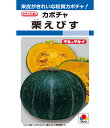 カボチャ 種 栗えびす タキイ 種苗 おいしい 種類 家庭菜園 プロ向け 大袋 小袋 農家 セレクト