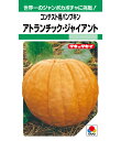 カボチャ 種 アトランチック・ジャイアント コンテスト用 タキイ 種苗 おいしい 種類 家庭菜園 プロ向け 大袋 小袋 農家 セレクト