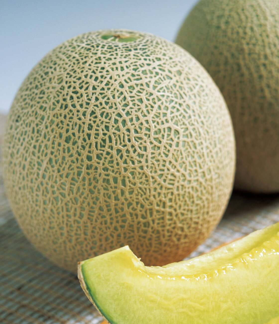 メロン 種 パンナ タキイ 種苗 家庭菜園 野菜の種 菜園 畑 プランター栽培 ベラン...