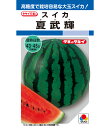 スイカ 種 夏武輝 大玉 タキイ 種苗 おいしい 種類 家庭菜園 プロ向け 大袋 小袋 農家 セレクト